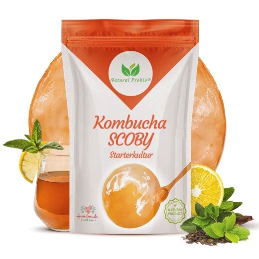 Kombucha-SCOBY von Natural Probio
